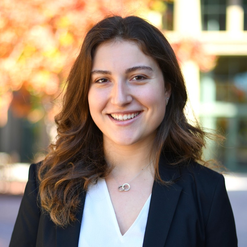 Hannah Perlstein